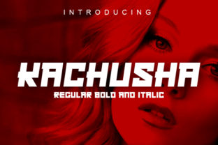 Font That Elevates Your Brand: Kachusha for Business Owners