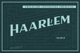 Haarlem Serif: A Strong Choice for Digital Branding