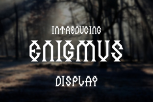 How Enigmus Elevated My Brand's Visual Identity