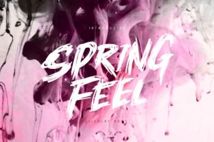 Springfeel Font for Handmade and Commercial Designs